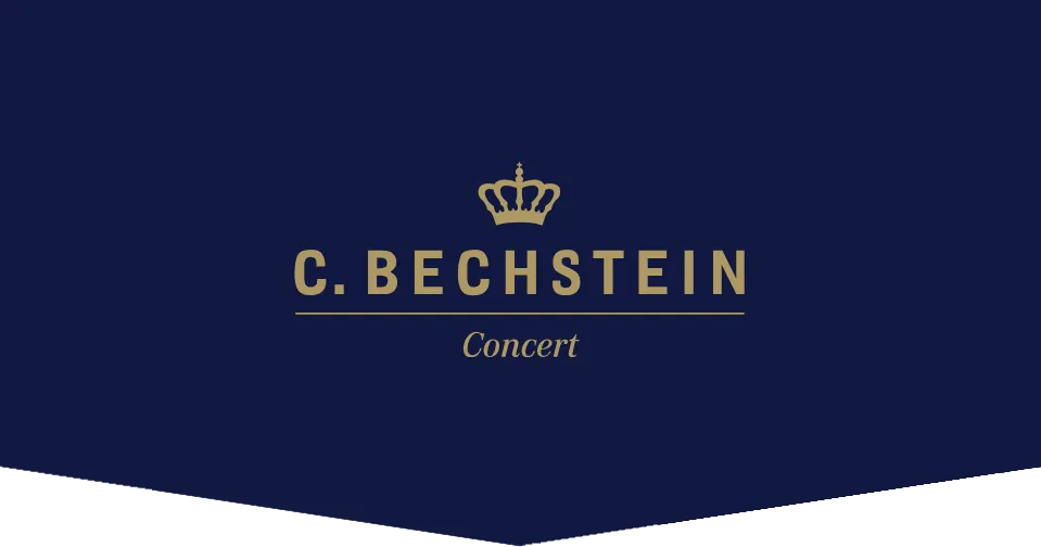 C.Bechstein Upright Piano Concert 8