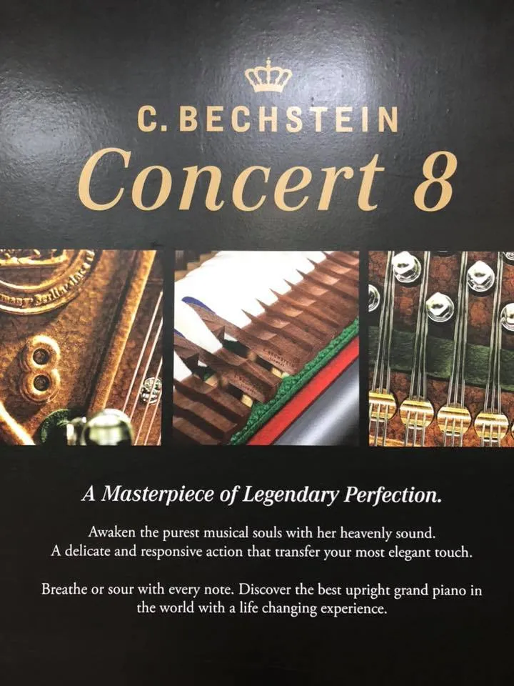 C.Bechstein Upright Piano Concert 8