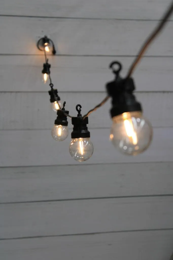 Clear Bulb Festoon Lights - Outdoor String Lights