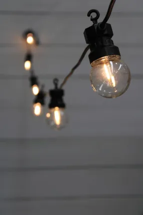 Clear Bulb Festoon Lights - Outdoor String Lights