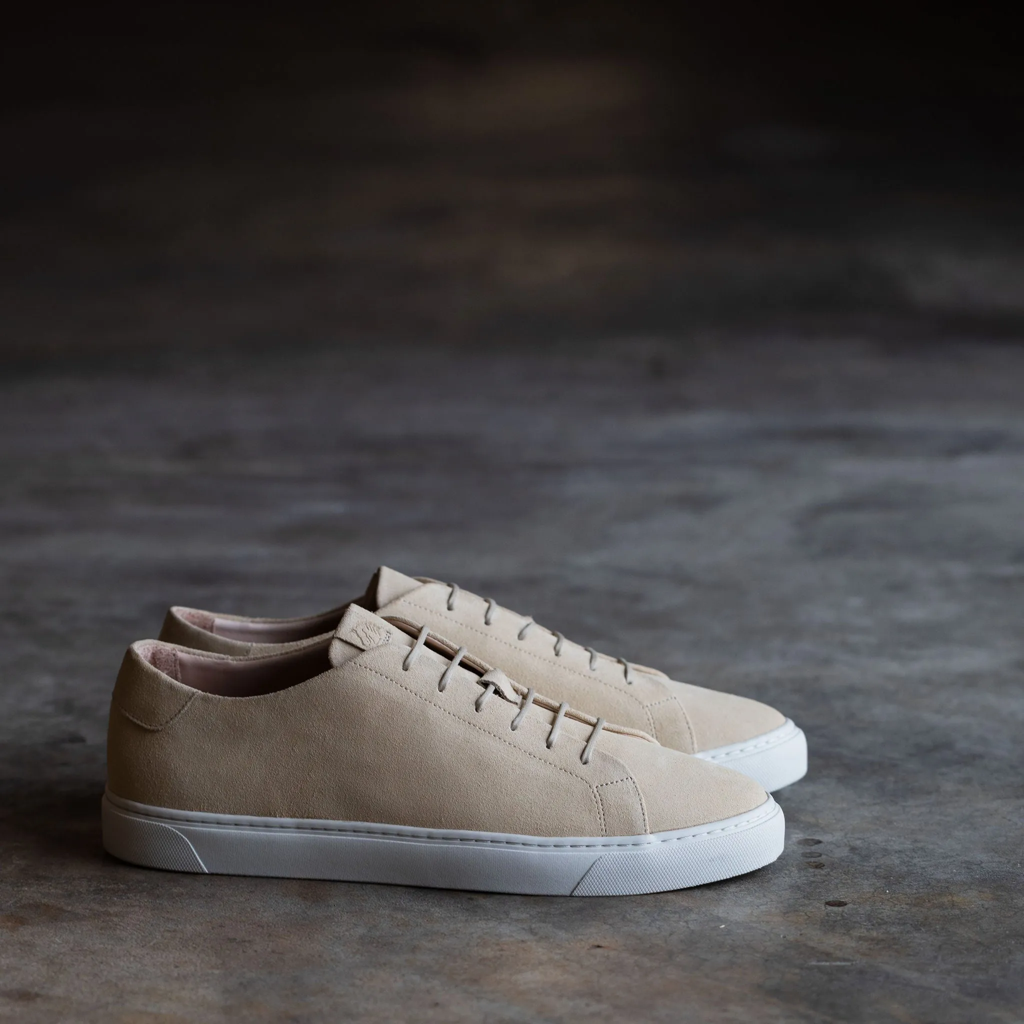 Coast Sneaker Butter Suede